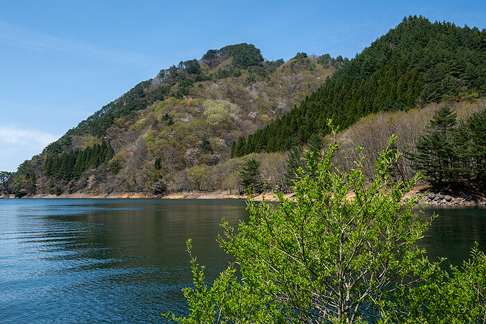 _DSC1744-1