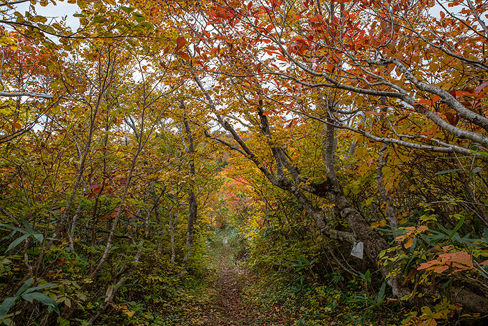 _DSC3114-1