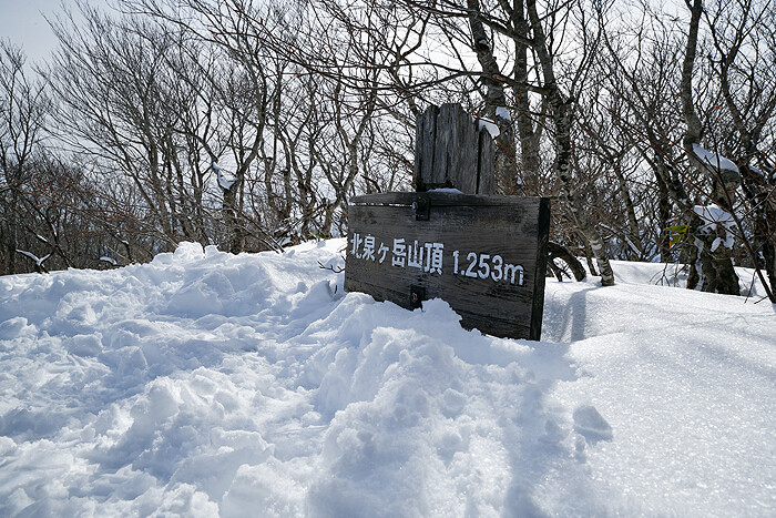 DSC_0895-1e