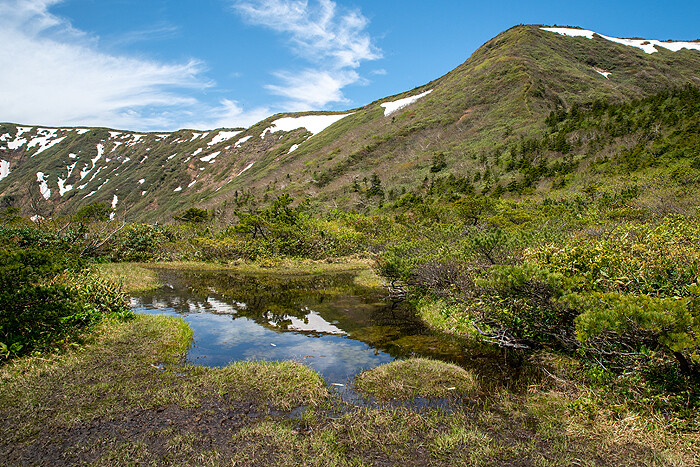 _DSC3305-1