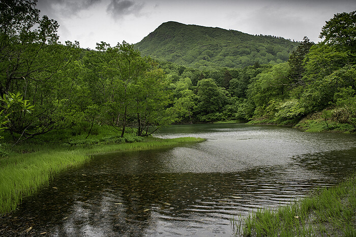 DSC_6251-2