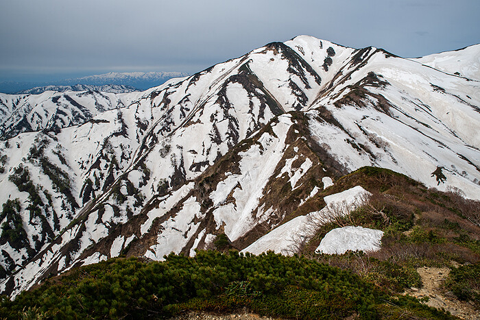 _DSC6012-1