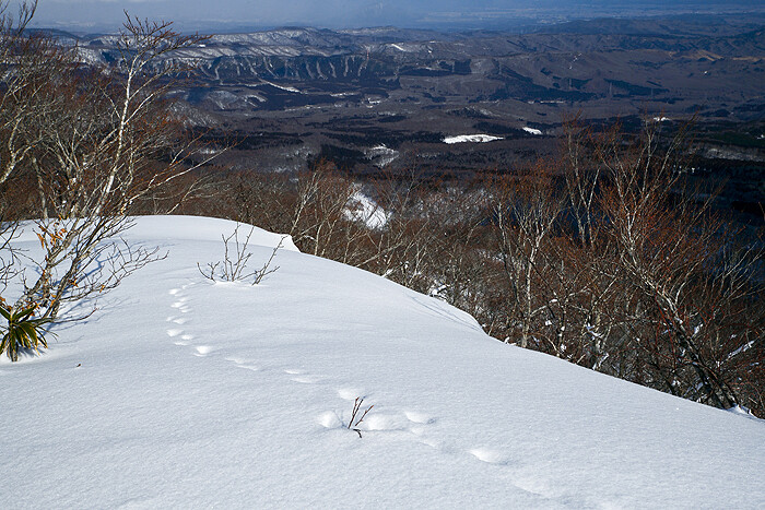 DSC_0825-1a