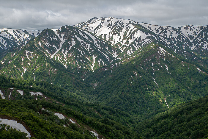_DSC7627-1