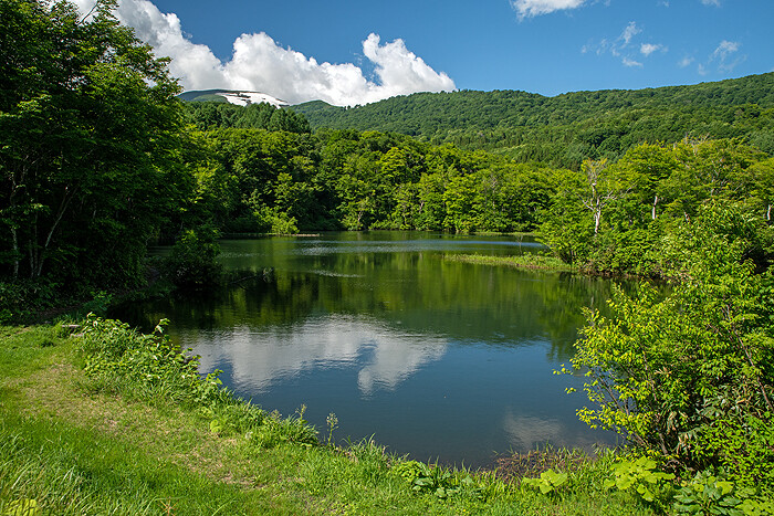 _DSC4730-1