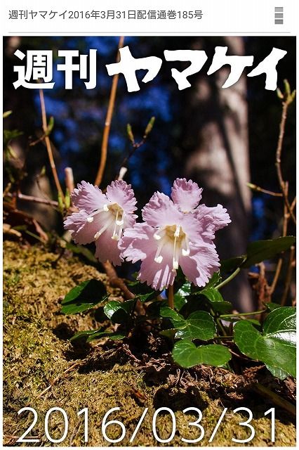 イメージ 5