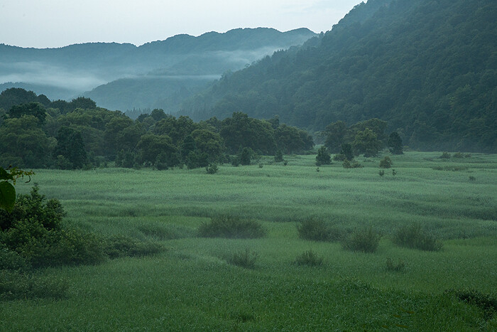 DSC_5830-2