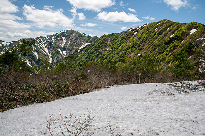 _DSC7736-1