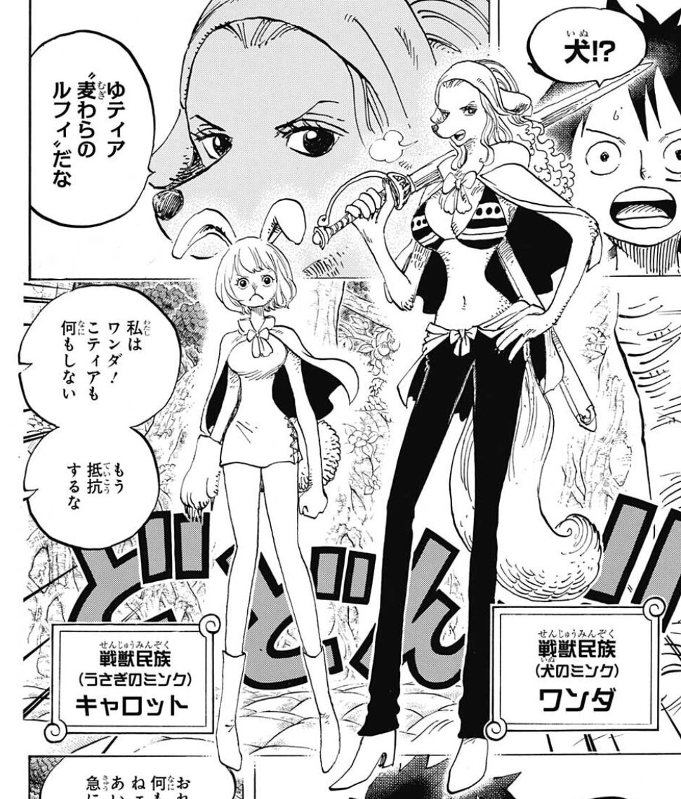 衝撃 真島ヒロさん 尾田栄一郎に女キャラの可愛さで圧勝してしまう みつエモンのオタク情報館 衝撃 真島ヒロさん 尾田栄一郎に女キャラの可愛さで圧勝してしまう みつエモンのオタク情報館