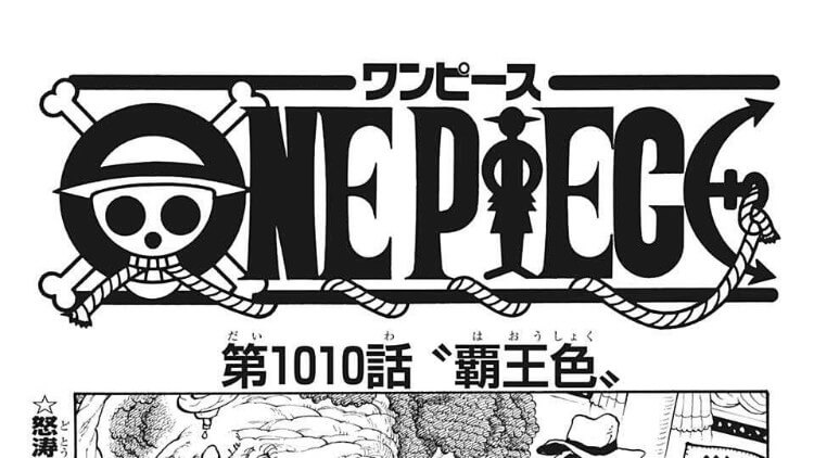 神展開 ワンピースのゾロ 覇王色を習得 ルフィ 覇王色での攻撃を習得 みつエモンのオタク情報館 神展開 ワンピースのゾロ 覇王色を習得 ルフィ 覇王色での攻撃を習得 みつエモンのオタク情報館