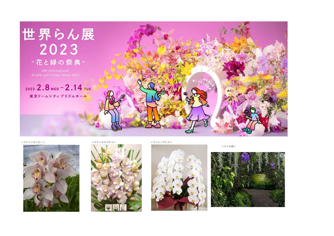 【いよいよ始まります】【超開運花】東京ドーム 世界らん展2023:小さなお華屋さんのblog