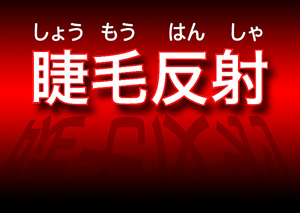 データで見る 死生観とは 後悔しない最期を迎えるために知っておきたいこと みんなの介護