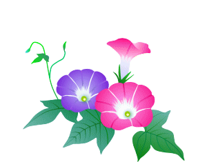 向島百化園大輪朝顔展 春夏秋冬