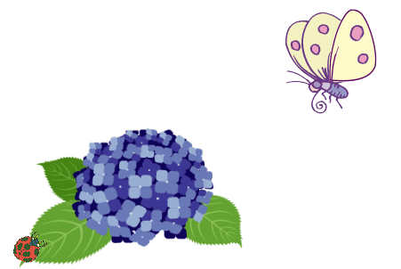 アジサイの花 額縁 春夏秋冬 アジサイの花 額縁 春夏秋冬