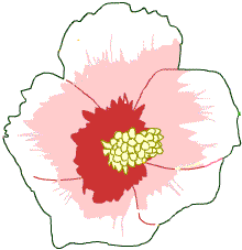 春夏秋冬 春夏秋冬