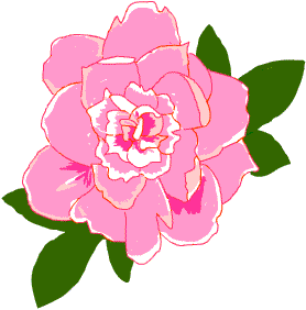 アジサイの花 額縁 春夏秋冬 アジサイの花 額縁 春夏秋冬