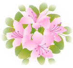花みずき 春夏秋冬