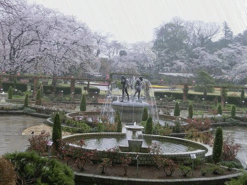 雨降りの練習 春夏秋冬