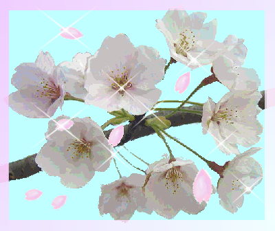 ひし形枠 千鳥が淵の桜 春夏秋冬 ひし形枠 千鳥が淵の桜 春夏秋冬