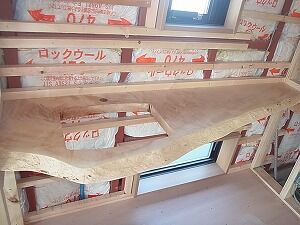 鉄骨造の家 トイレカウンター