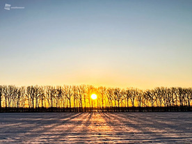 202512200106_box_img2_A