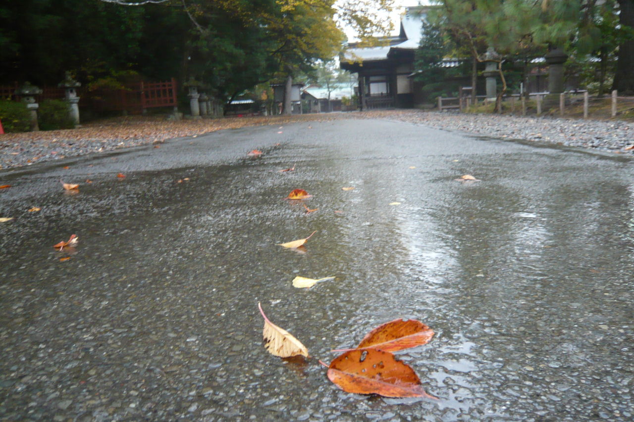 雨の日の朝 風のひとりごと ブログ 雨の日の朝 風のひとりごと ブログ