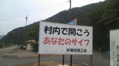 奄美の写真