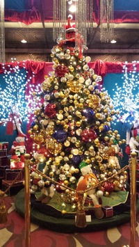 20141224_224727