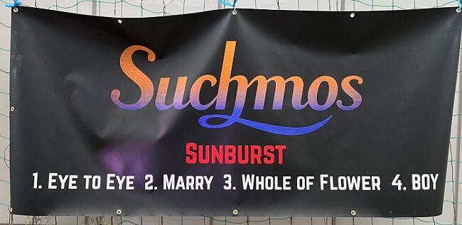 Suchmos Asia Tour Sunburst 2025』 : 演劇的日々