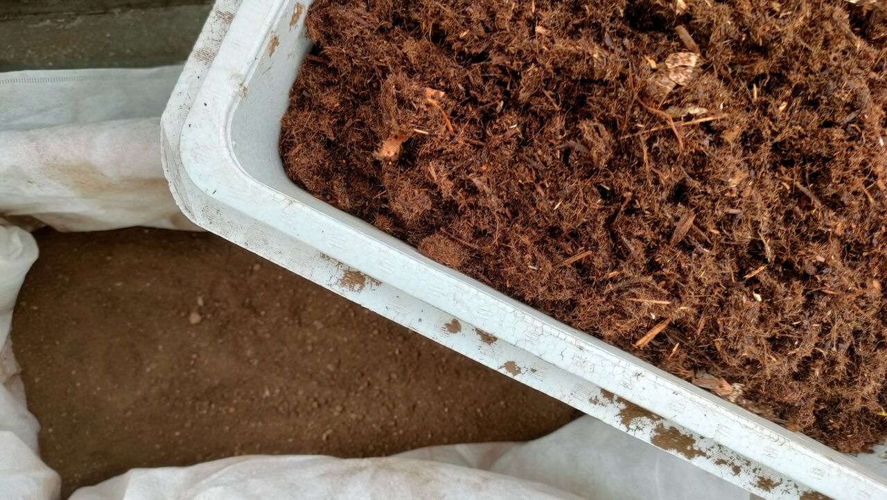 りんご箱 Mitu128の健康blog