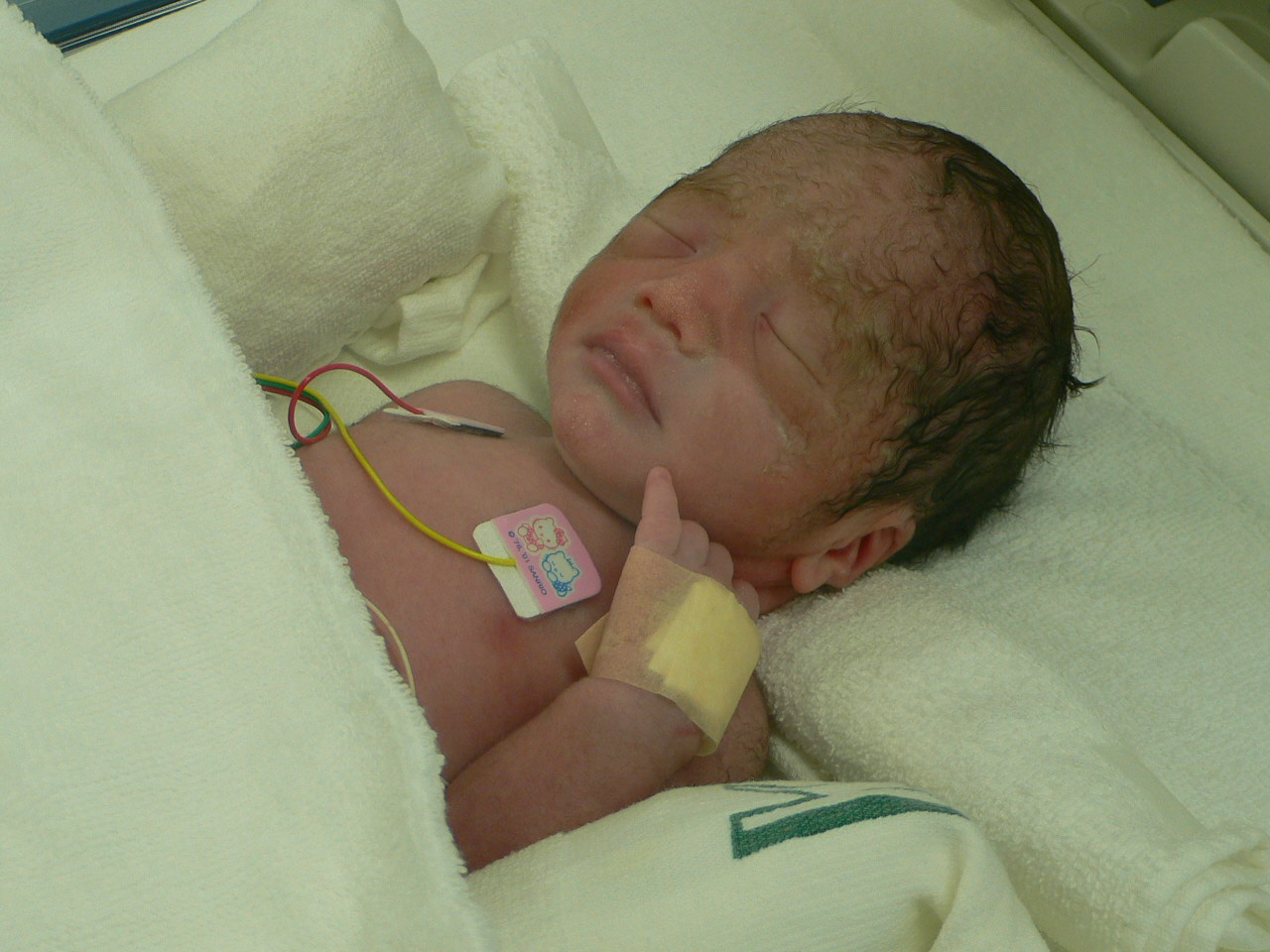 三つ子出産 ４人の子供の夢がもりもり