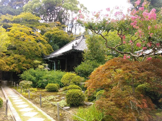 光遊記
	  神峯山　大門寺　大阪
	コメント