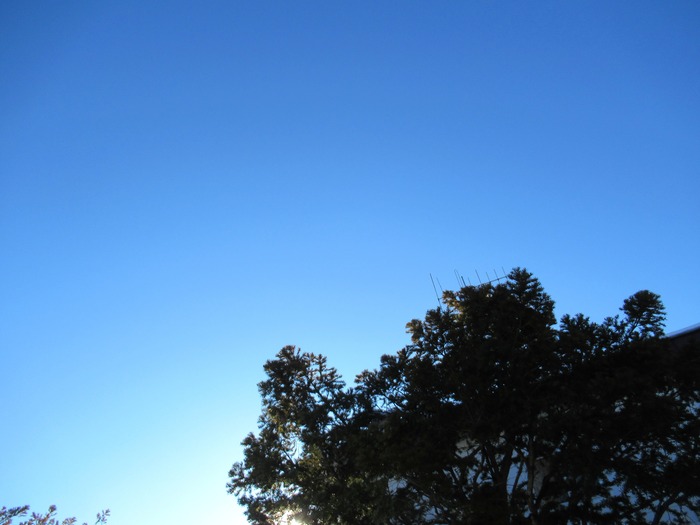 20220101084946_IMG_2208_1