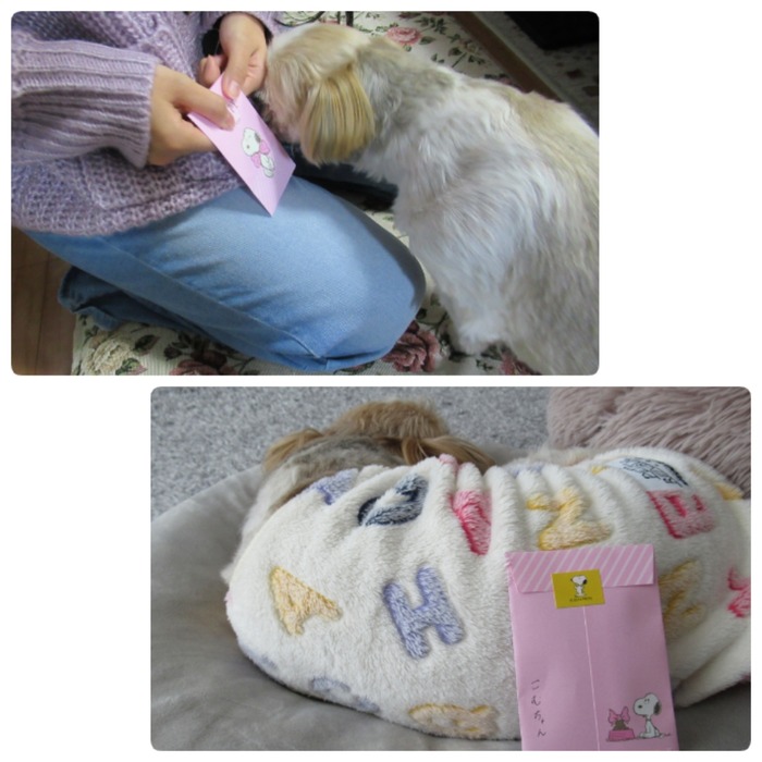 img1641366861309