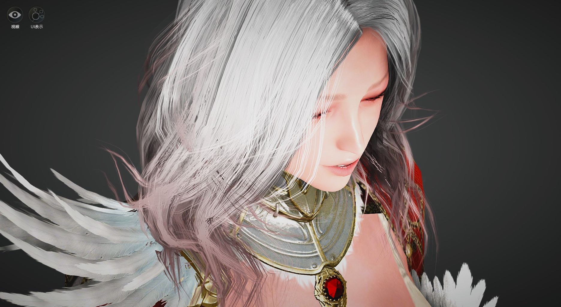 新クラス ヴァルキリーキャラメイク 黒い砂漠プレイ日記 新クラス ヴァルキリーキャラメイク 黒い砂漠プレイ日記