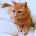 20040318_2119_000.jpg