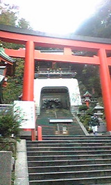 3a20f58d.jpg
