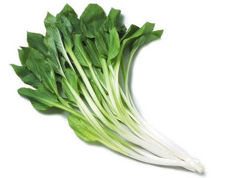 103567