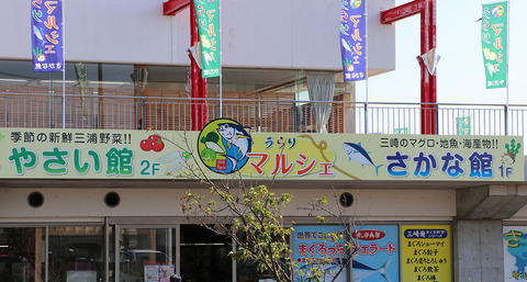 mainimage3