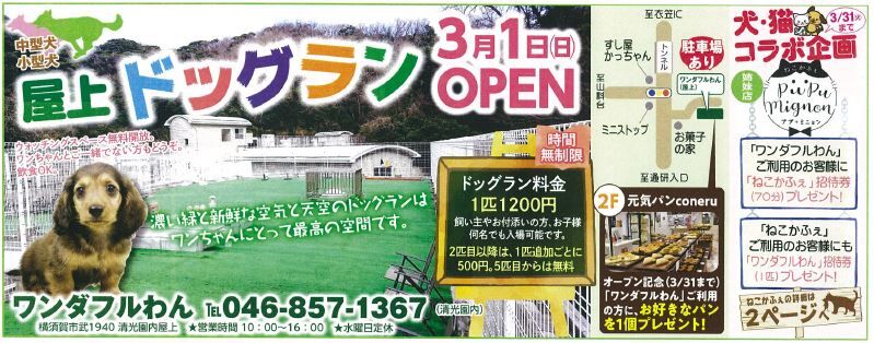 わんこ連れの新名所 元気パン コネル Caro Foresta 三浦海岸 Arena