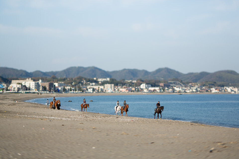 海と馬 Caro Foresta 三浦海岸 Arena