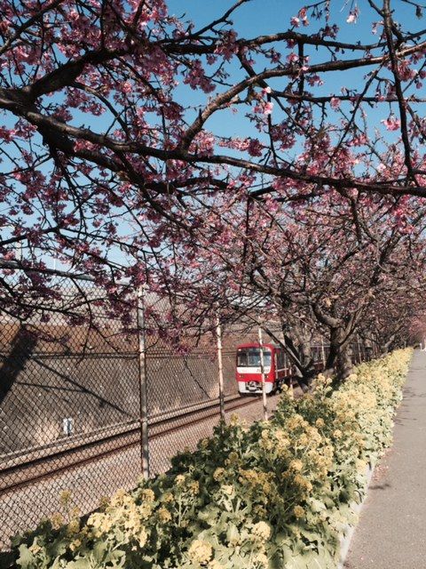 0212電車
