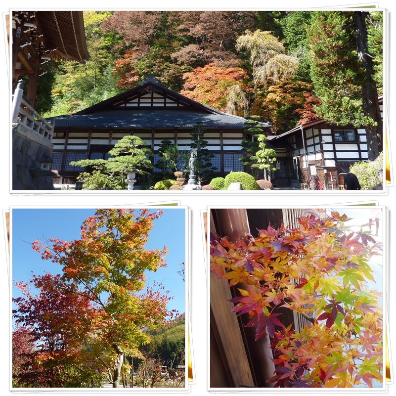 イメージ 9