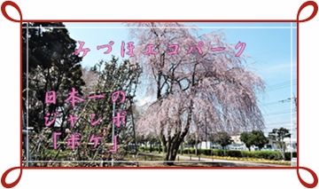 イメージ 12