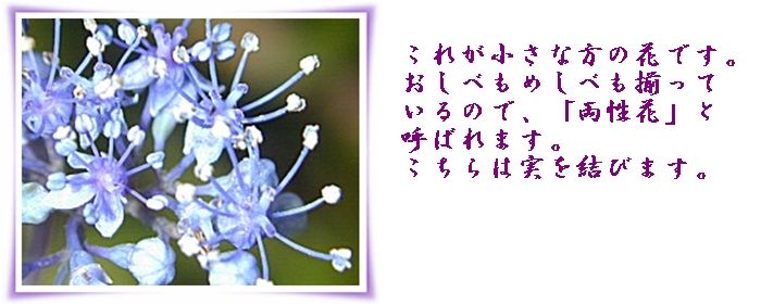 イメージ 11