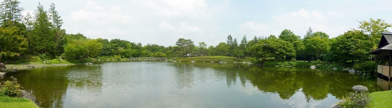 イメージ 7