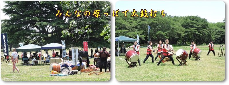 イメージ 17