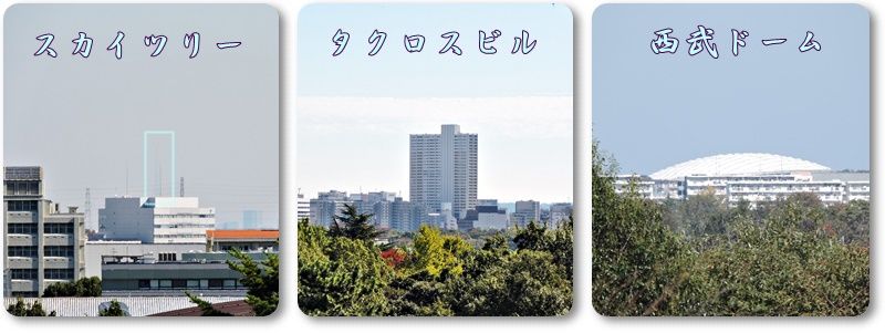 イメージ 13