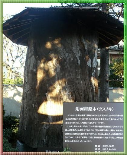 イメージ 3