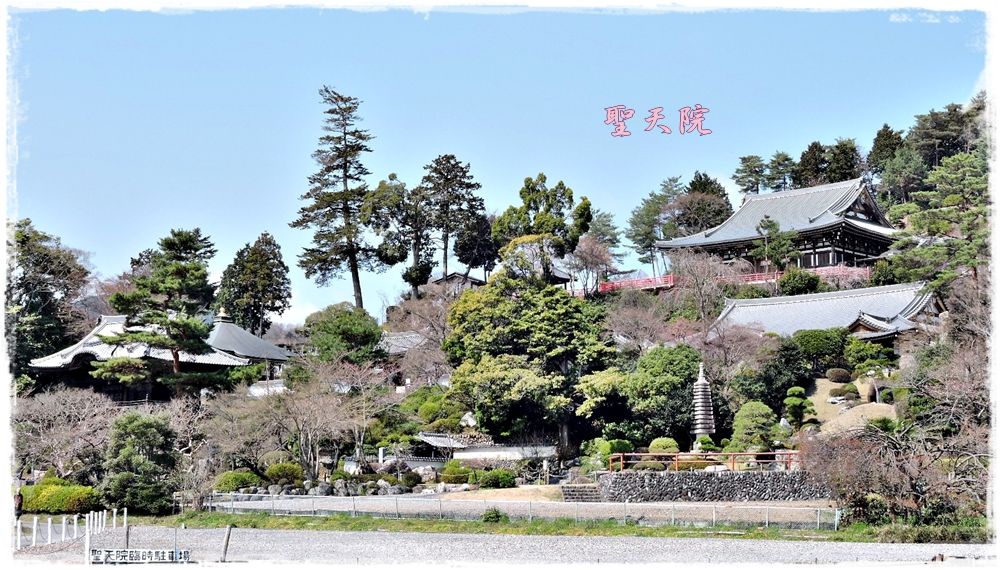 イメージ 10